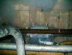 Rohrfrostung Rohrvereisung Rohrvereisen Rohrfrosten Wasserleitung Rohreinfrierung Rohr Gefrierung Rohrleitung frosten einfrieren